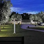 Apartment Elegant House