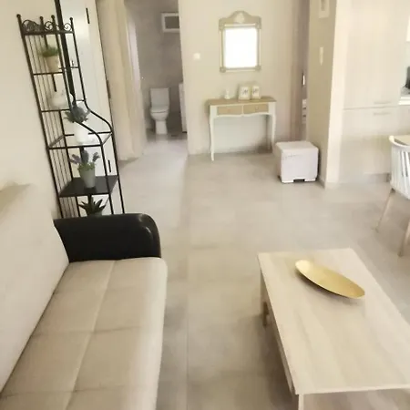 Elegant House 公寓 奥马斯帕纳吉亚斯