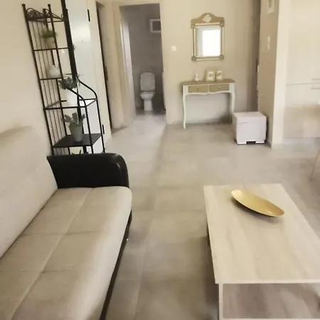 公寓 Elegant House 奥马斯帕纳吉亚斯