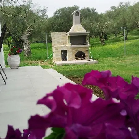 公寓 Elegant House *